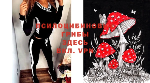 стаф Володарск