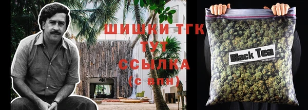 стаф Володарск