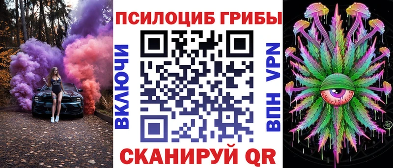 Псилоцибиновые грибы GOLDEN TEACHER  цены наркотик  Куса 